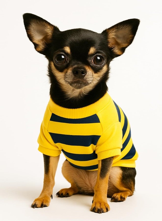 Zigly Lifestyle Bumble Stripe Dog Sweatshirt | Soft Cotton Pullover for Dogs | Warm, Lightweight, Easy-Wear Pet Clothing for Small to Large Breeds Size Small - Image 4